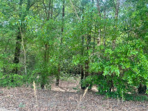 Lot 11 Warbonnet Road, Springfield, SC, 29146 | Card Image