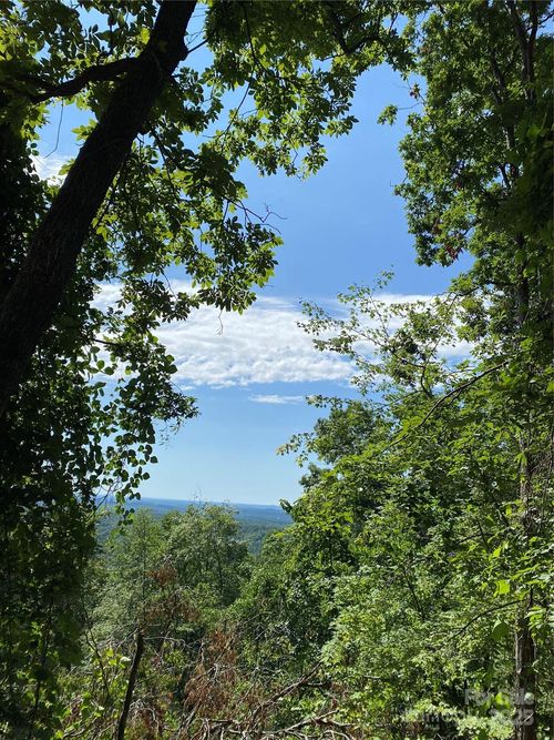 60-0 Ridgecrest Dr, Lake Lure, NC, 28746 | Card Image