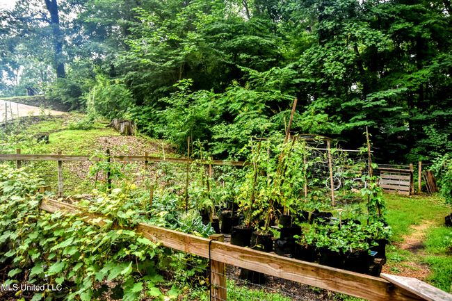 Glen Artney garden 1 | Image 42