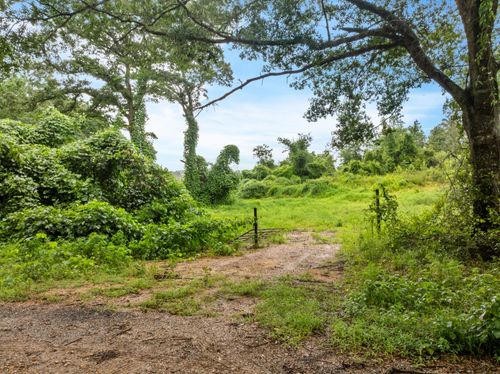 00 Clem School Rd, Prentiss, MS, 39474 | Card Image