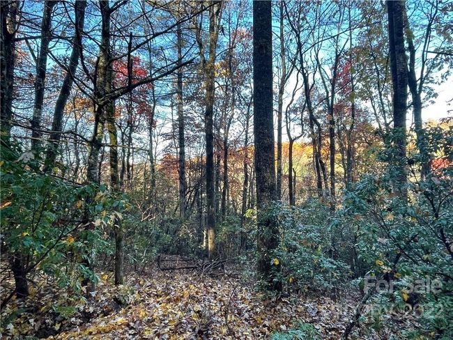 4 - 9999 Sassafras Ln, Home with 0 bedrooms, 0 bathrooms and null parking in Cedar Mountain NC | Image 6