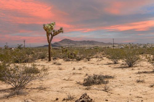 401 Stonehill Ave, Joshua Tree, CA, 92252 | Card Image