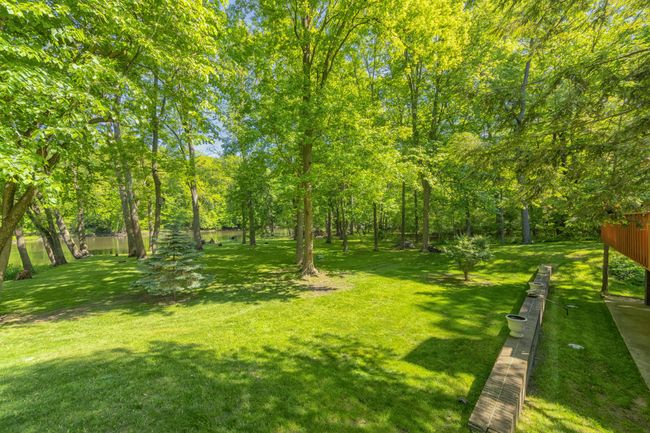 Back yard on the St. Joe River #1 | Image 28