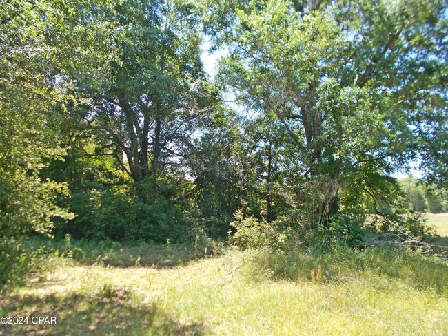 2 Ac Melon Lane, House other with 1 bedrooms, 1 bathrooms and null parking in Grand Ridge FL | Image 13