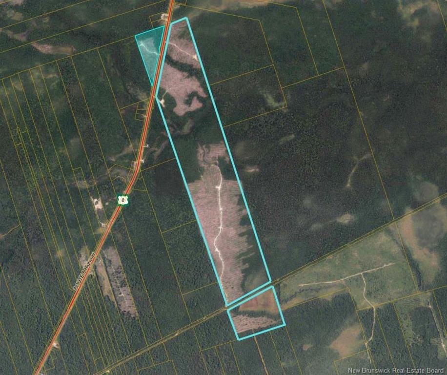 Land in Upper Blackville