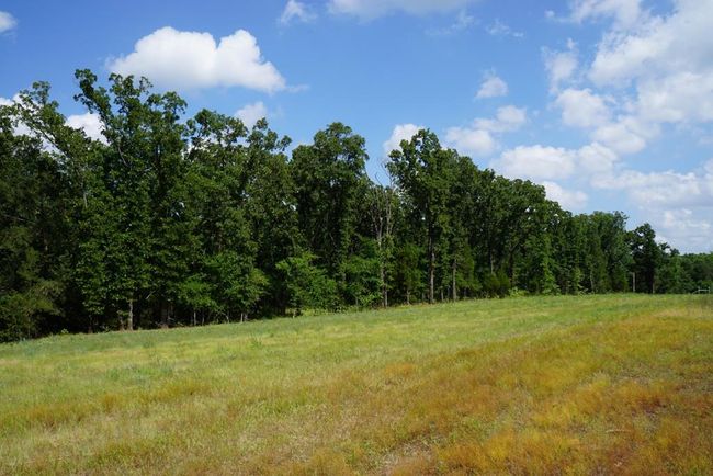 01 Private Rd 5401, Home with 0 bedrooms, 0 bathrooms and null parking in Malakoff TX | Image 11