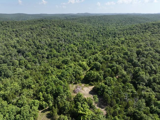 dji_fly_20250620_102128_0010_17504331152 | Image 36