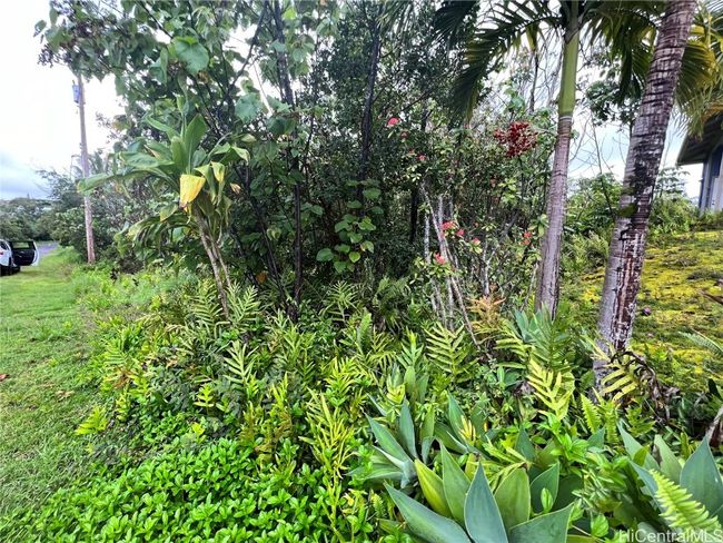 0 Wehelauniu St, Home with 0 bedrooms, 0 bathrooms and null parking in Pahoa HI | Image 8