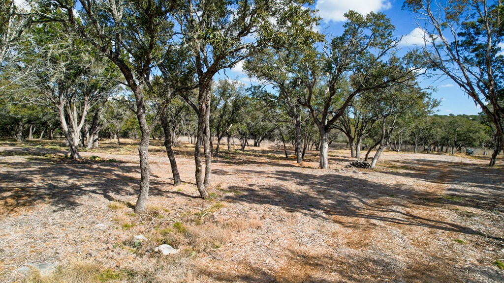 Farm in Hunt 5