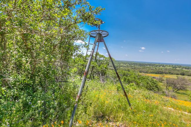 Property Views | Image 48