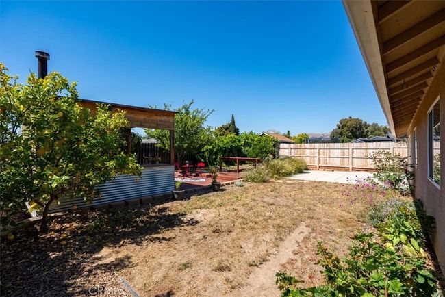 Back yard | Image 28