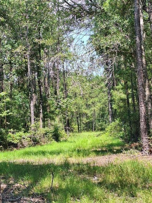 6801 Private Road 8235, Buna, TX, 77612 | Card Image