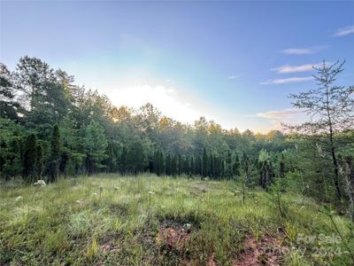 Build Site Surrounded by Trees | Image 3