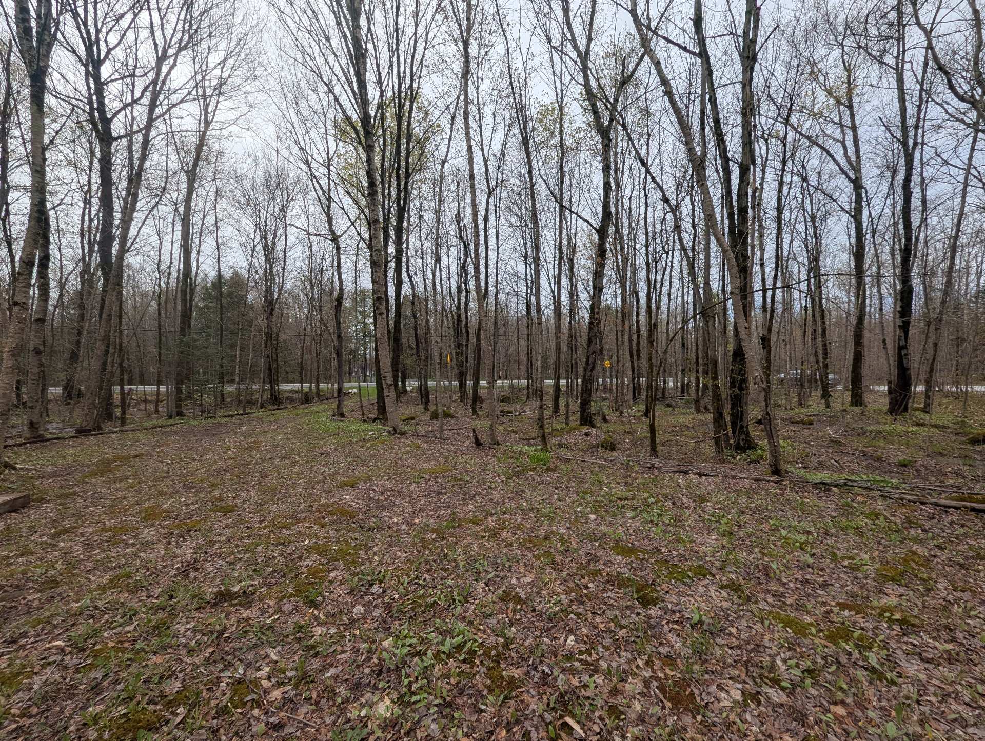 Land in Eastman 2