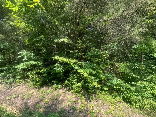 25 Rock Springs Rd, Celina, TN, 38551-6536 | Card Image