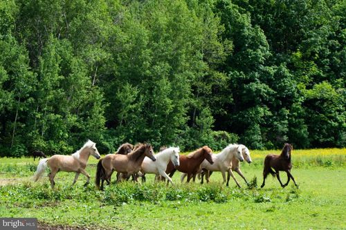 385 Latimore Creek Rd, YORK SPRINGS, PA, 17372-9750 | Card Image