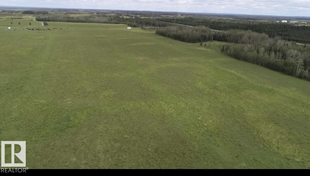 Land in Rural Brazeau County 4