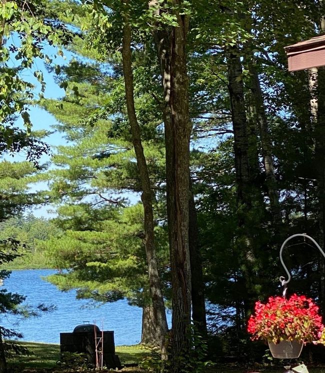 2329 Point Ln, House other with 3 bedrooms, 2 bathrooms and null parking in Lac du Flambeau WI | Image 48
