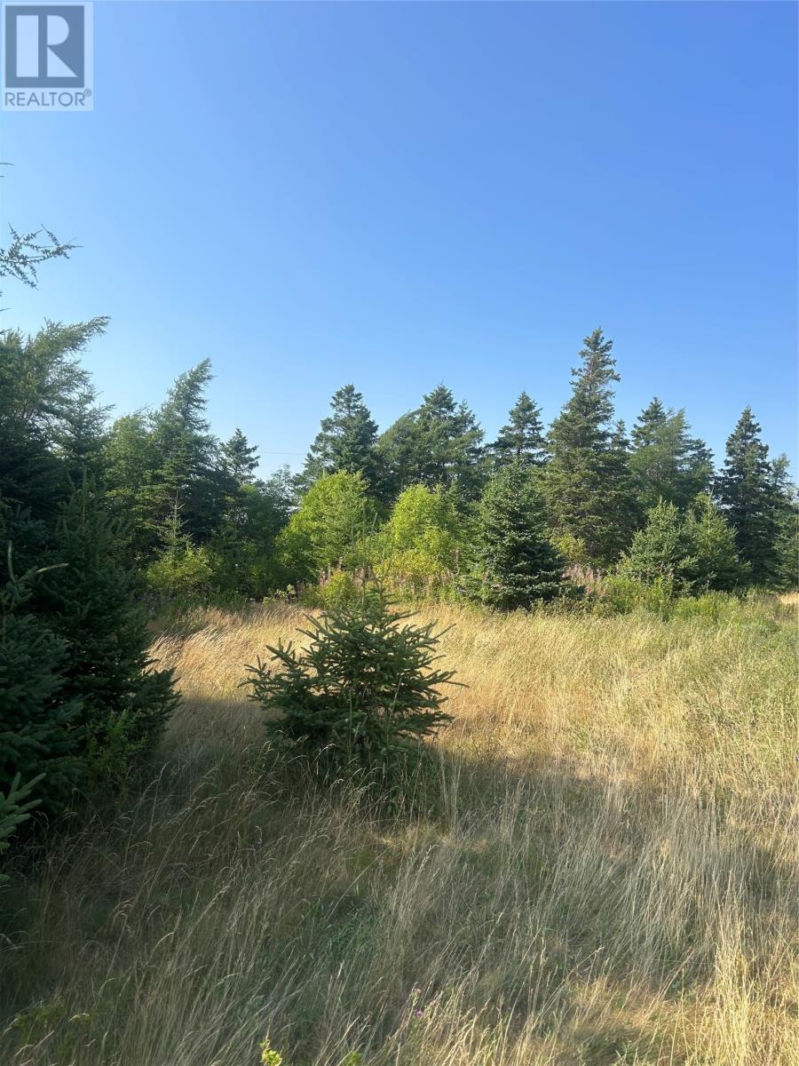 Land in Roaches Line 5