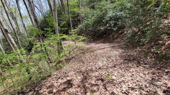 27 - 27 Lacy Fern Rdg, Home with 0 bedrooms, 0 bathrooms and null parking in Sylva NC | Image 12