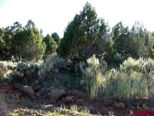 10 Juniper Dr, Norwood, CO, 81423-5100 | Card Image