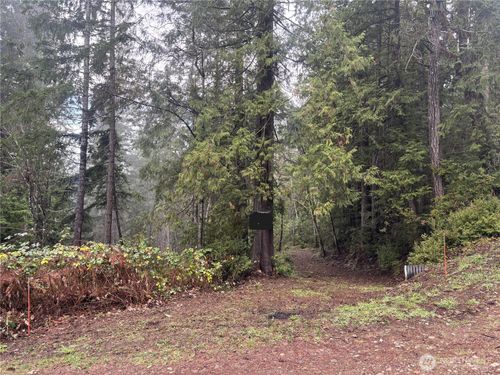 0 Yashi Rd, Brinnon, WA, 98320 | Card Image