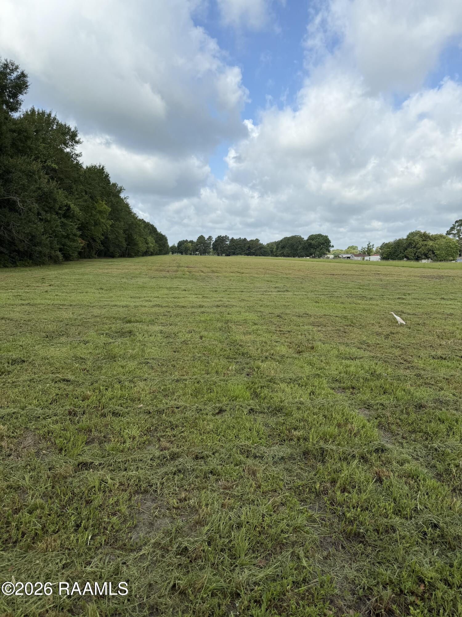 Land in Breaux Bridge 4