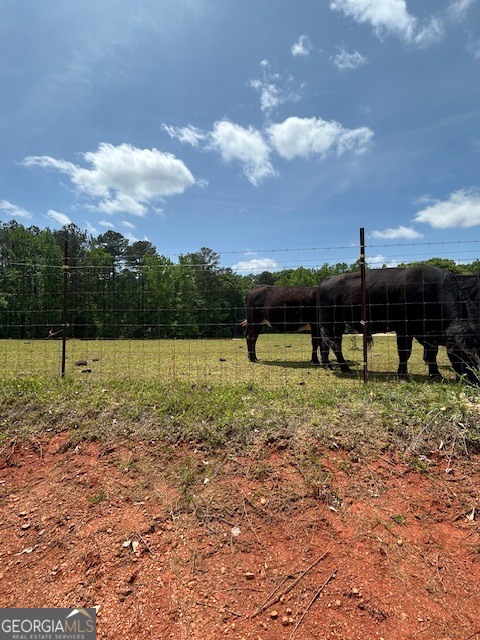 Land in Mcdonough 4