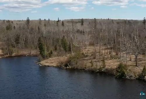 1215 N Bear Lake Rd, Brimson, MN, 55602 | Card Image