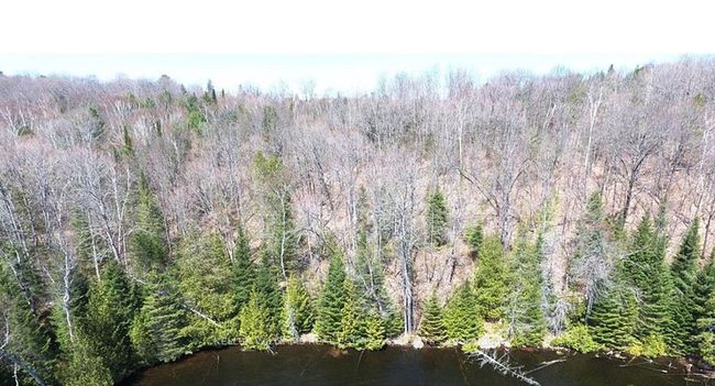 0 Contau Lake Rd, Home with 0 bedrooms, 0 bathrooms and null parking in Gooderham ON | Image 5
