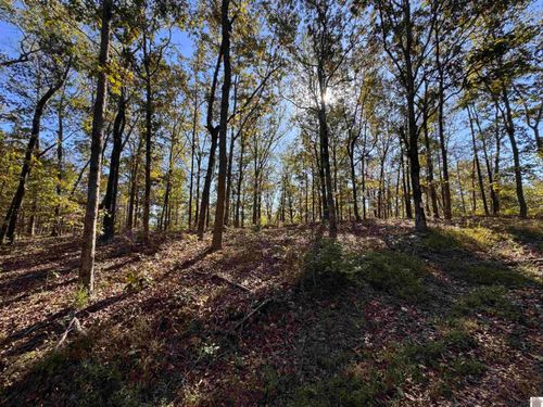 103-0-0018-C Ridge Road, New Concord, KY, 42076 | Card Image