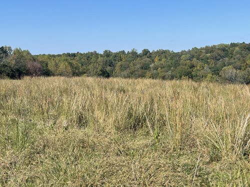 5 Oak Grove Rd, Red Boiling Springs, TN, 37150 | Card Image