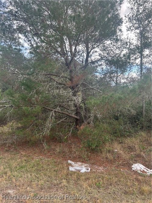 2365 W Haviland Rd, Avon Park, FL, 33825-9157 | Card Image