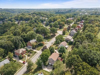 Mature trees and landscaping | Image 2