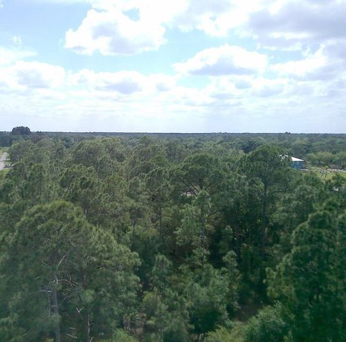 lot-19-000 Ne 189th Ln, CITRA, FL, 32113 | Card Image