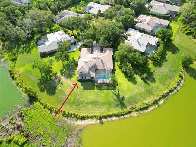15101 Kestrelglen Way, House other with 4 bedrooms, 5 bathrooms and null parking in LITHIA FL | Image 5
