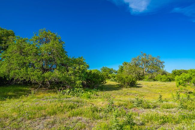 2068 S Laird Rd, Home with 0 bedrooms, 0 bathrooms and null parking in Harper TX | Image 49