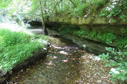 3841 Tall Oaks Ln, Harrison, AR, 72601-9199 | Card Image