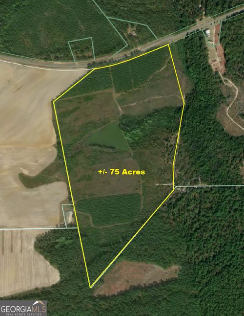 0 Sardis Church Rd, Kite, GA, 31049 | Card Image