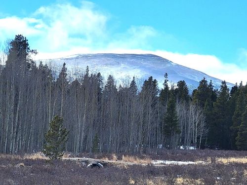 162 Thickspike Rd, Fairplay, CO, 80440 | Card Image