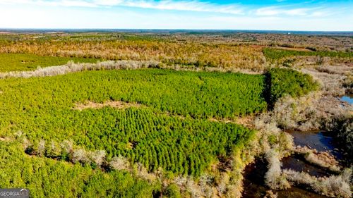 0 Mead Rd, Ideal, GA, 31041 | Card Image