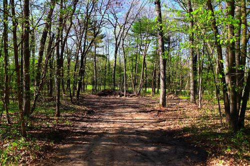 xxx Penelope Loop, Browerville, MN, 56438 | Card Image