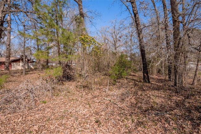 383 Autumn Ln, Home with 0 bedrooms, 0 bathrooms and null parking in Livingston TX | Image 9