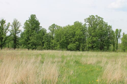 TBD Feeley 3, Warba, MN, 55793 | Card Image