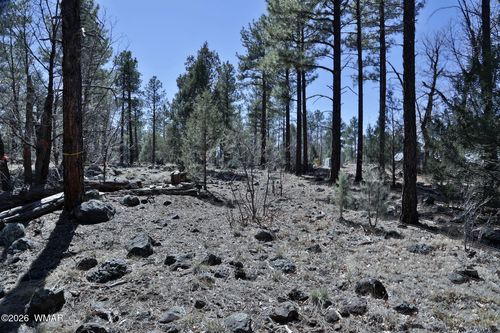 1030 W Big Springs Trl, Lakeside, AZ, 85929-0678 | Card Image