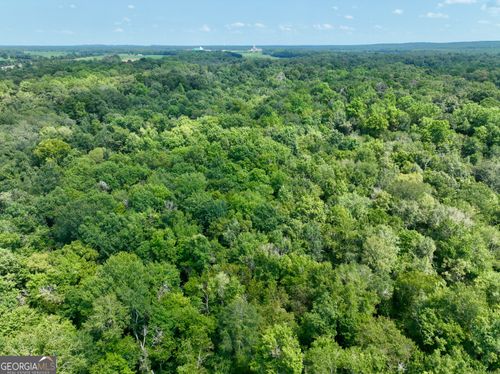 0 Highway 247, Kathleen, GA, 31047 | Card Image