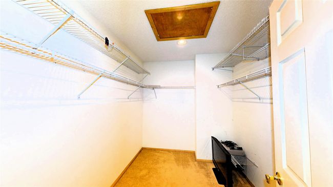 Spacious closet with carpet | Image 16