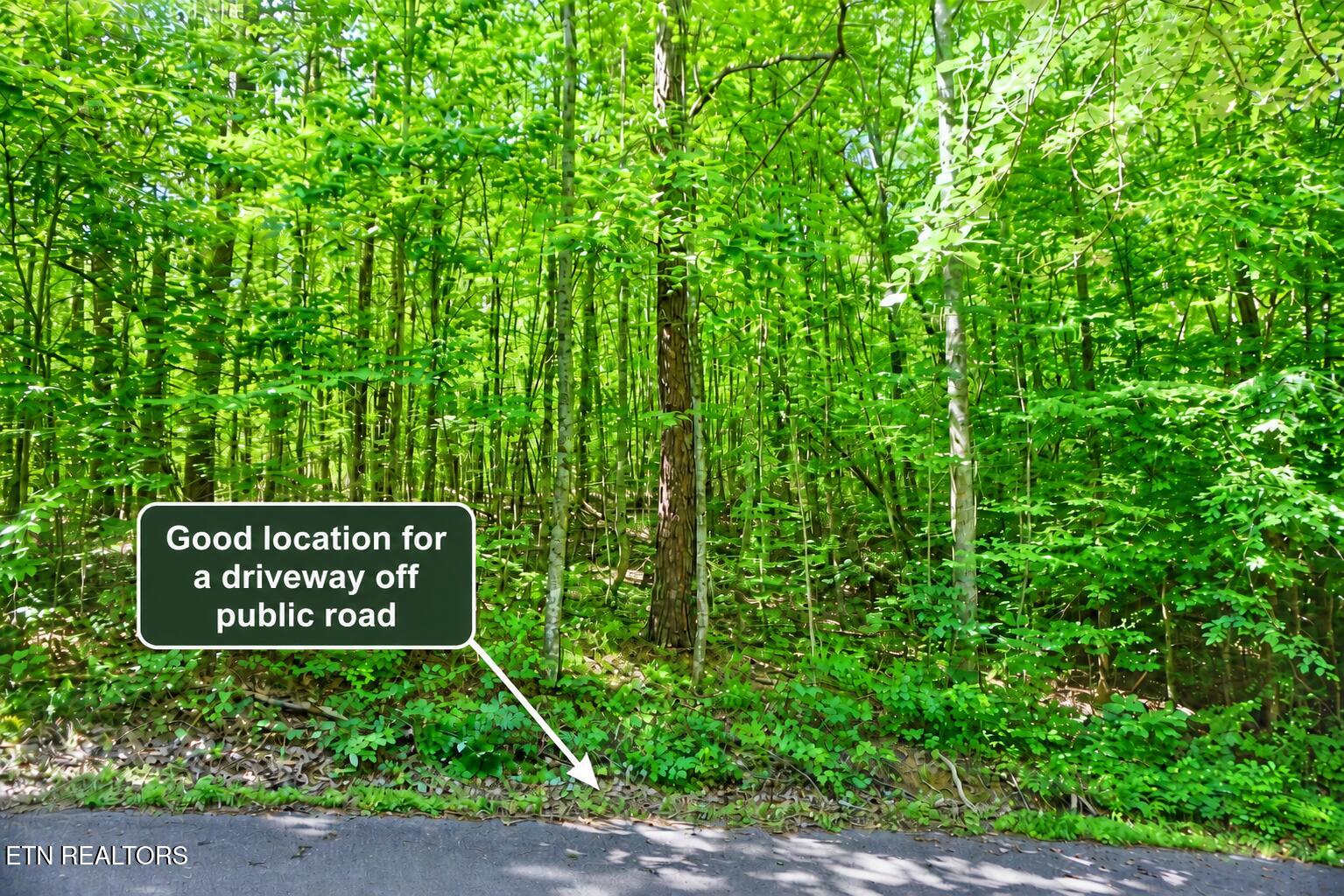 Land in Sevierville 3