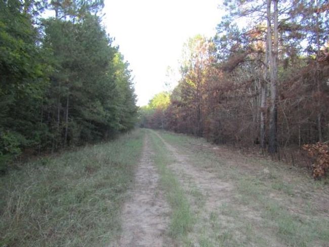 Lot 826 Greenridge, Home with 0 bedrooms, 0 bathrooms and null parking in Livingston TX | Image 1