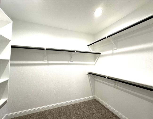 Spacious closet featuring carpet | Image 12